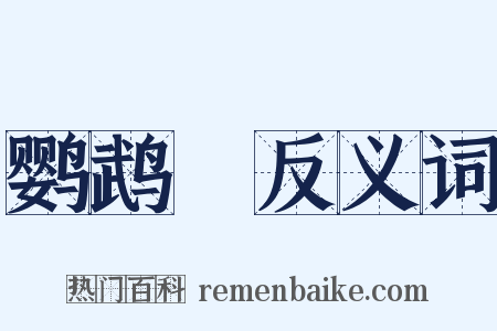 鹦鹉緑反义词是什么意思的图片